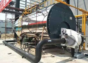 低氮型燃?xì)庹羝仩t