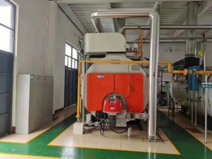 WNS燃油燃?xì)庹羝仩t